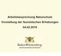 2019 Vorstellung der faunistischen Erhebung